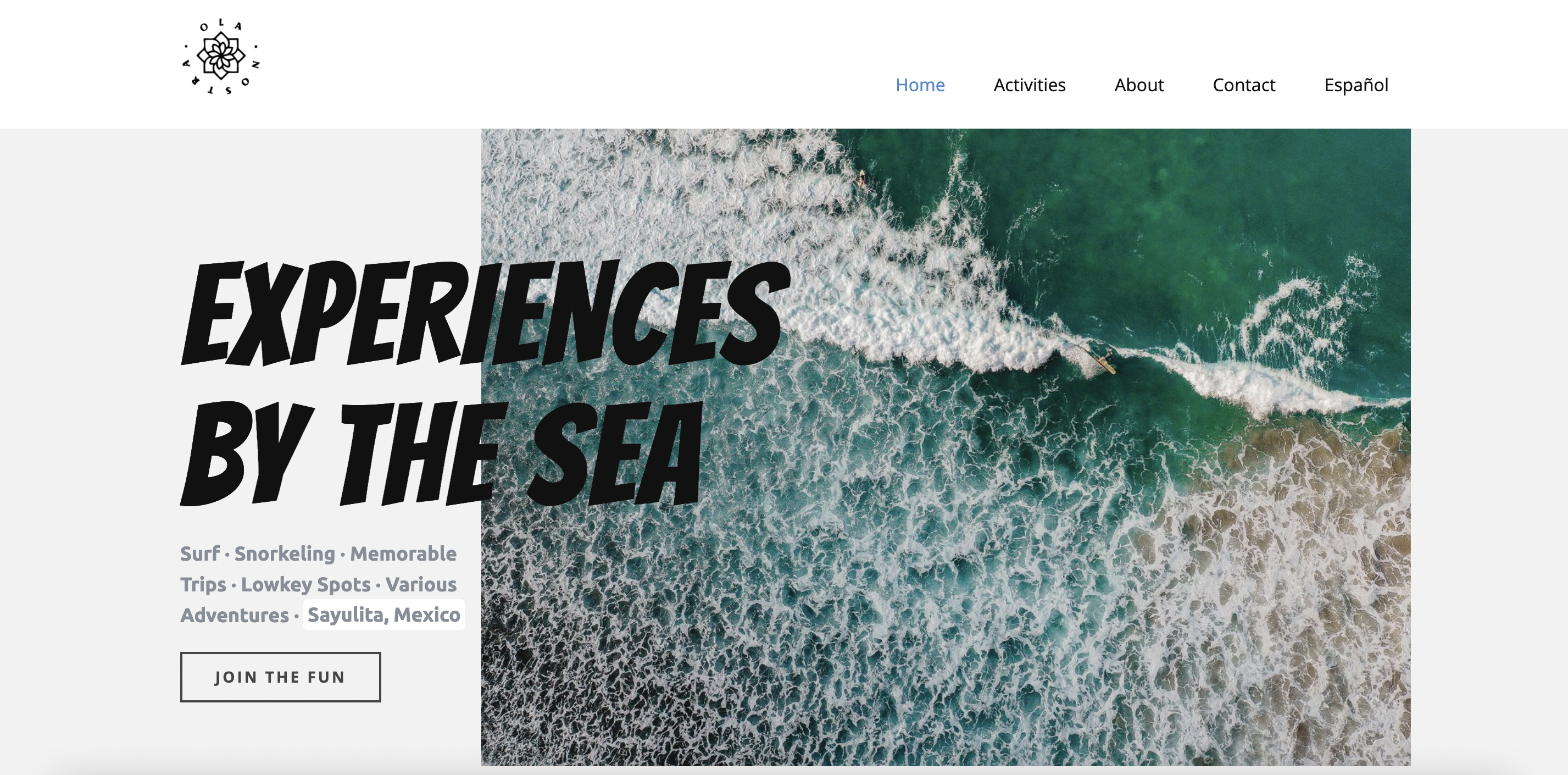 Sayulita Surf School